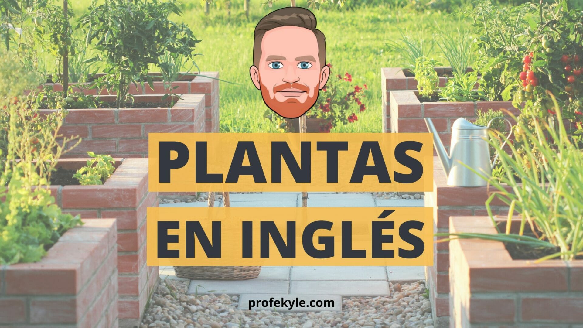 vocabulario de plantas hierbas arboles y flores en inglés y español